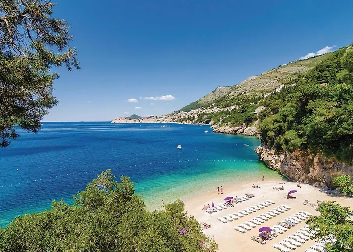 In With Kitchen Appartamento